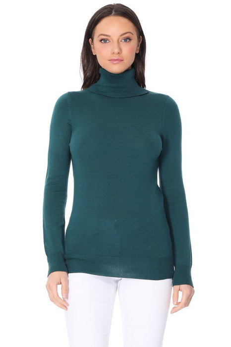 Turtleneck Spandex Stretch Pullover Sweater