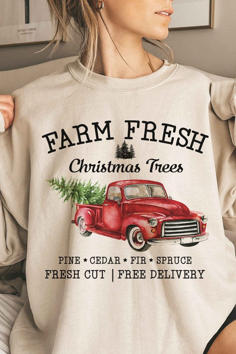 FARM FRESH CHRISTMAS TREES OVERSIZED SWEATSHIRT