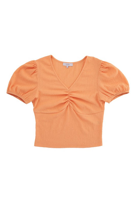 Shirred V neck top with puff sleeves