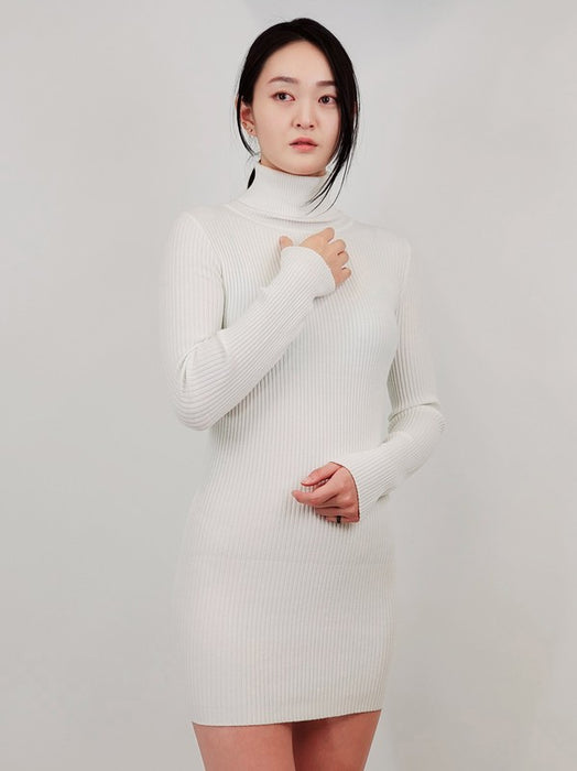 Ribbed Turtleneck Long Sleeve Slim Fit Mini Dress